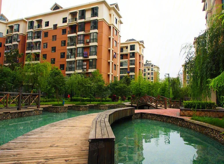 ͭ���춼���������